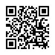 QR BZ pumice stone