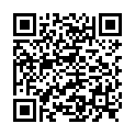 QR COLOVISTA permanent silver gray