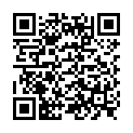 QR Sonnentor Hochzeitstee Battalion 18 pieces