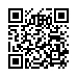 QR LEBEWOHL Hühneraugenpflaster N