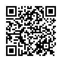 QR HÄNS Amylum tritici PhEur