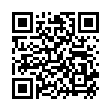 QR VIVITZ Bio Eistee Pfirsich