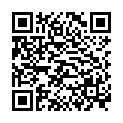 QR HOLLE Milchbrei Hafer Apfel Erdbeere Bio