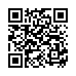 QR HOLLE Waldbeeren in Apfel