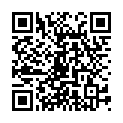 QR BURGERSTEIN Eisen vegan Thekendisplay 6Stk