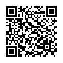 QR HOLLE Früchte-Gemüseriegel Apf Karot Bio