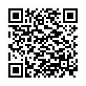 QR BIOKOSMA Shampoo Balance Brennnessel BIO