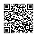 QR 3M Haarschneidegerät Professional